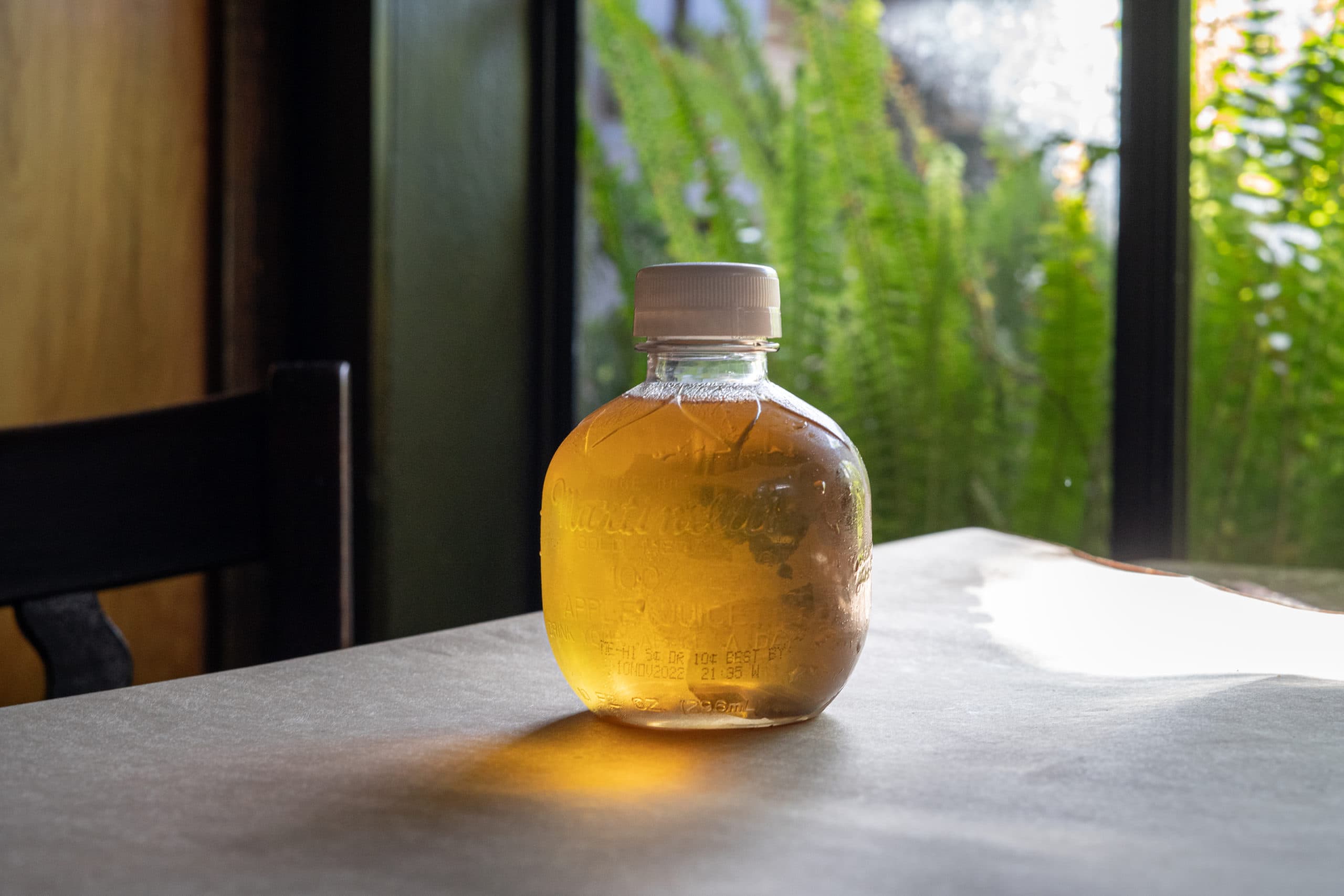 9e321ad4-4e2f-4fce-8ebc-4c5343e90061